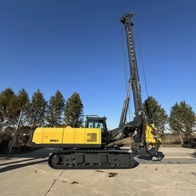 Rotary Drilling Rig